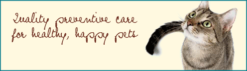 quality preventive care for healthy, happy pets