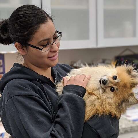 Preventative Pet Care