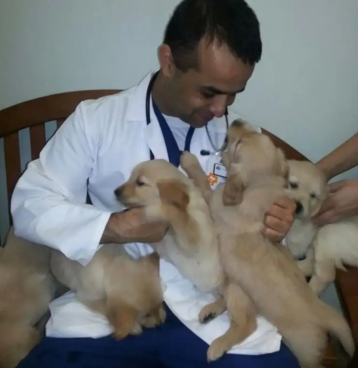 Harshdeep Dogra, DVM, MVSc, MS