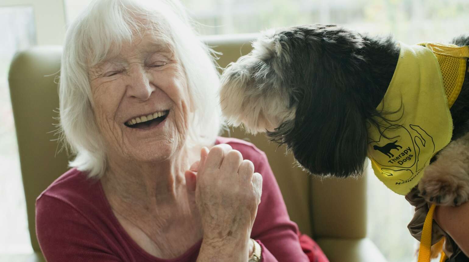 Geriatric Pet Care