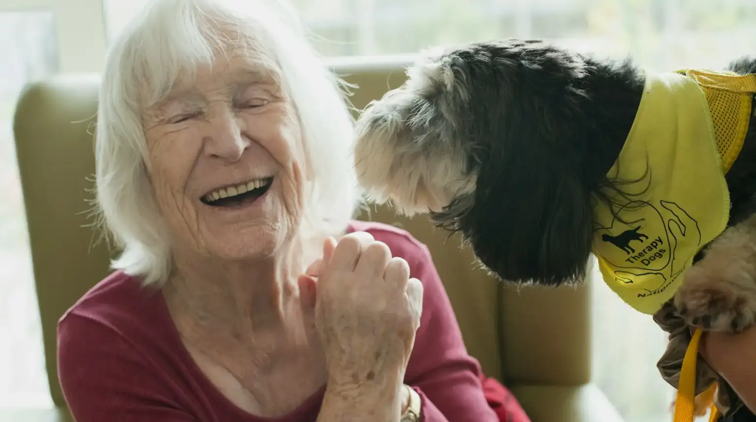Geriatric Pet Care