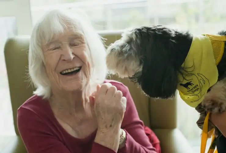 Geriatric Pet Care