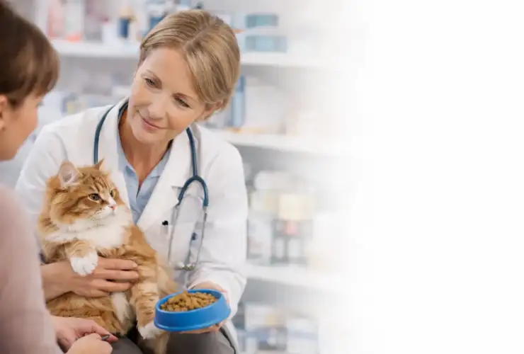 Nutritional Counseling